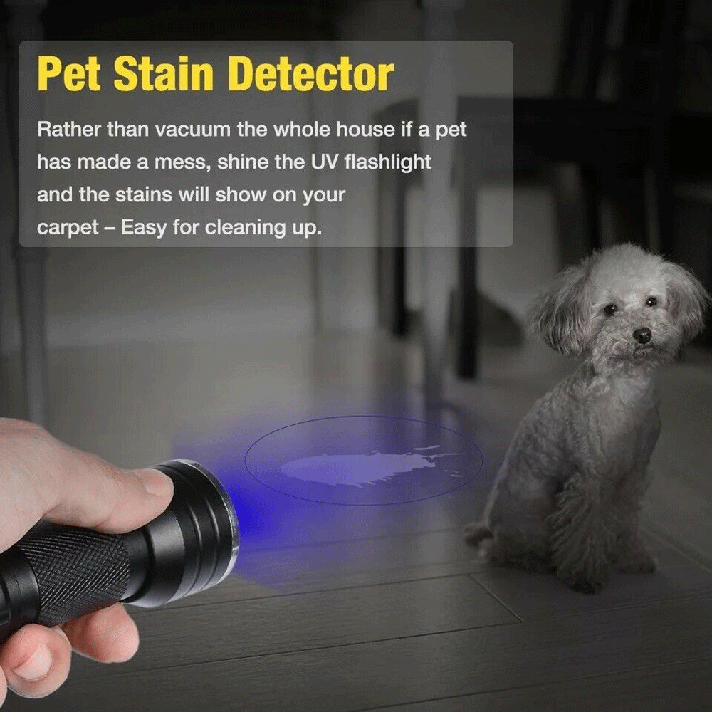 Super Bright 395nm UV Blacklight LED Flashlight