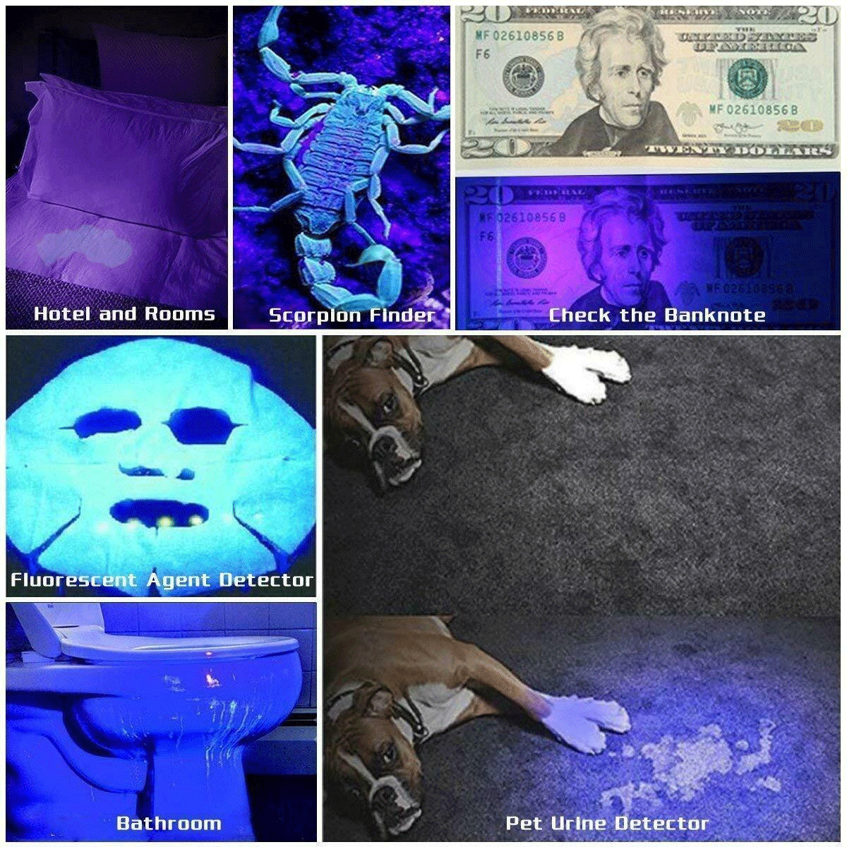 Super Bright 395nm UV Blacklight LED Flashlight