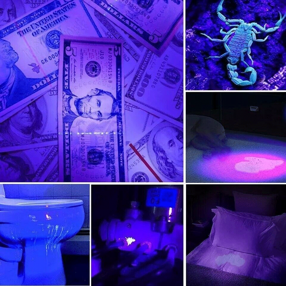 Super Bright 395nm UV Blacklight LED Flashlight