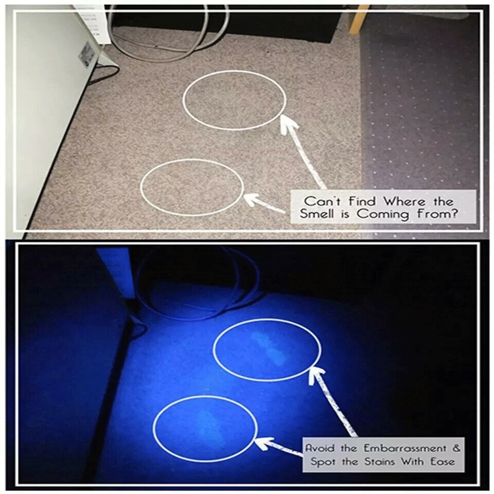 Super Bright 395nm UV Blacklight LED Flashlight