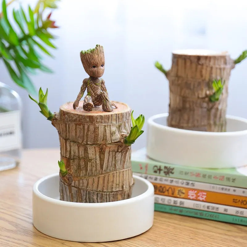 Terrarium Lucky Wood