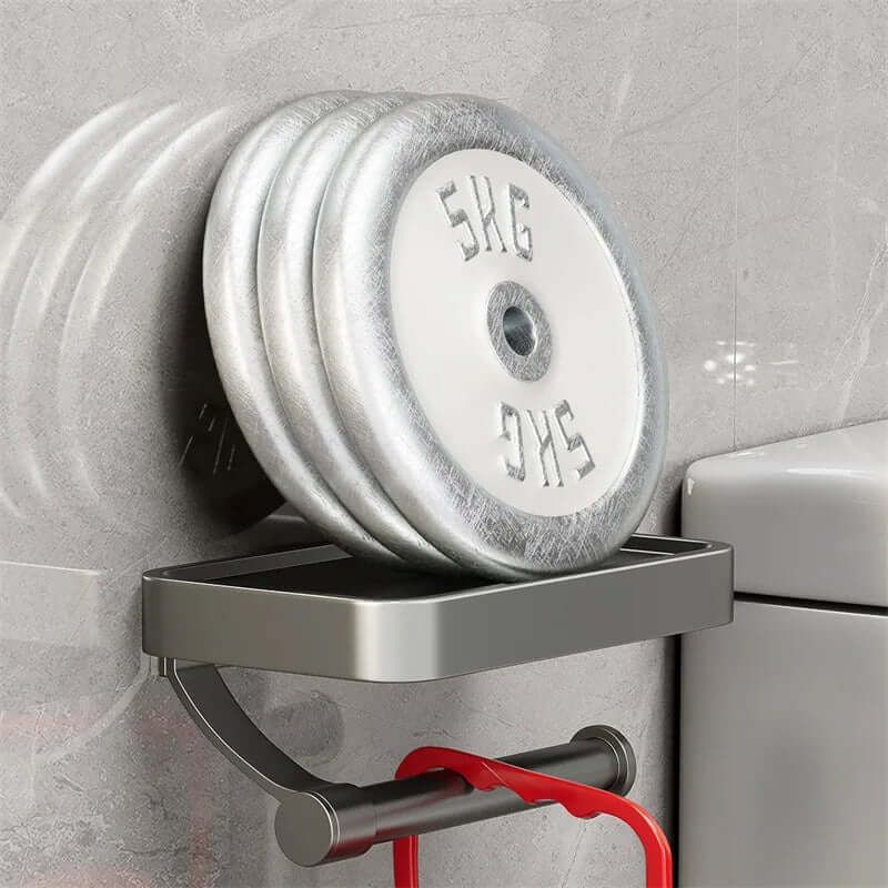 Toilet Paper Holder in Stainless Steel with Shelf