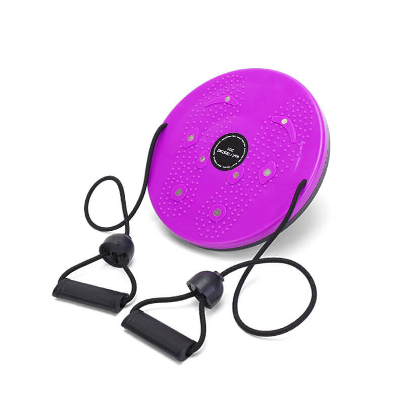 Waist Twister FitPro