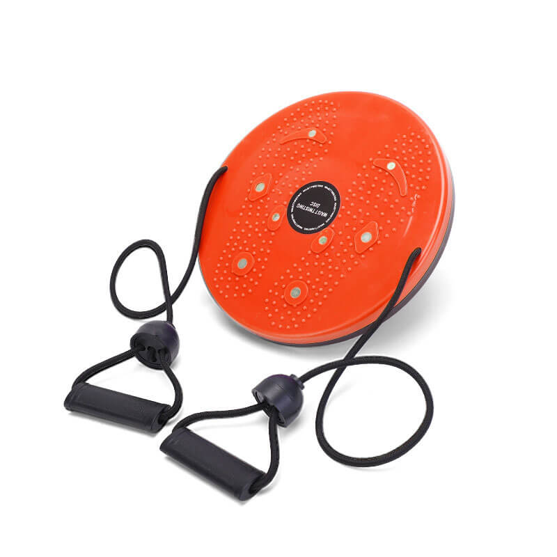 Waist Twister FitPro