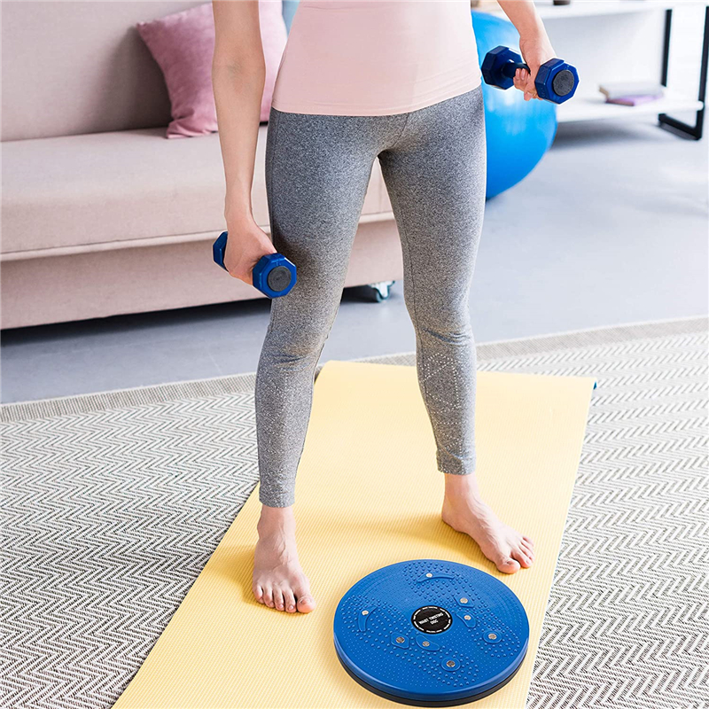 Waist Twister FitPro