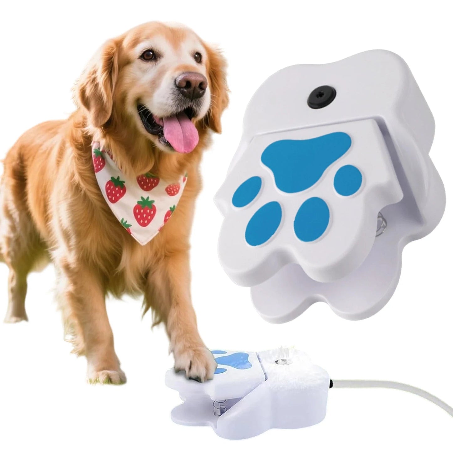 Water Fountain with Paw - Fountain for Dogs