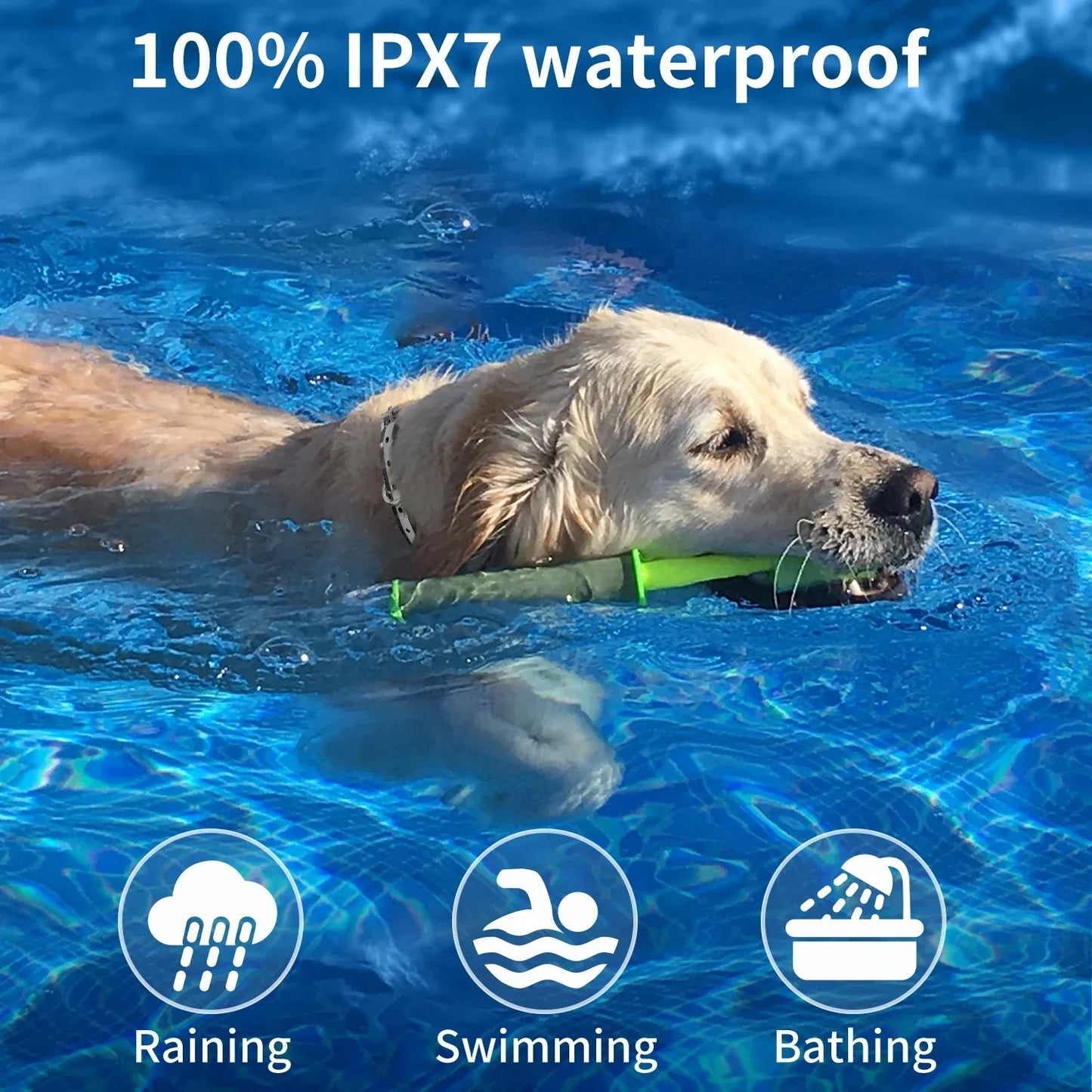 Waterproof Remote Dog Training Collar with Shock & Beep