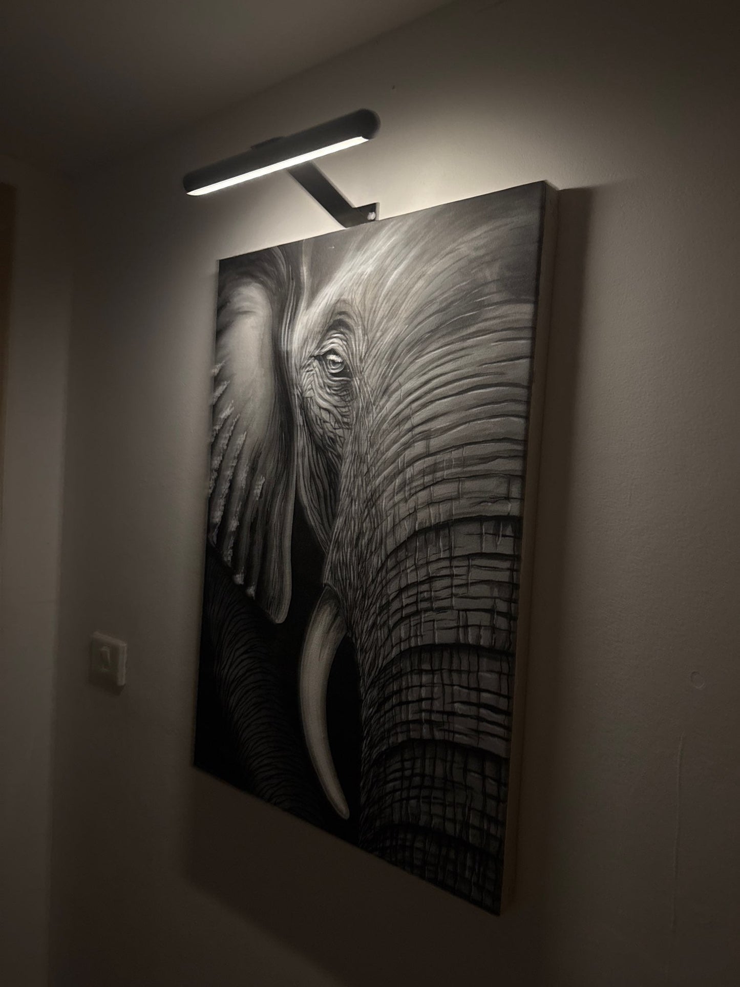 Wireless LED Picture Light – Rechargeable Wall Lamp with Remote & Adjustable Dimming